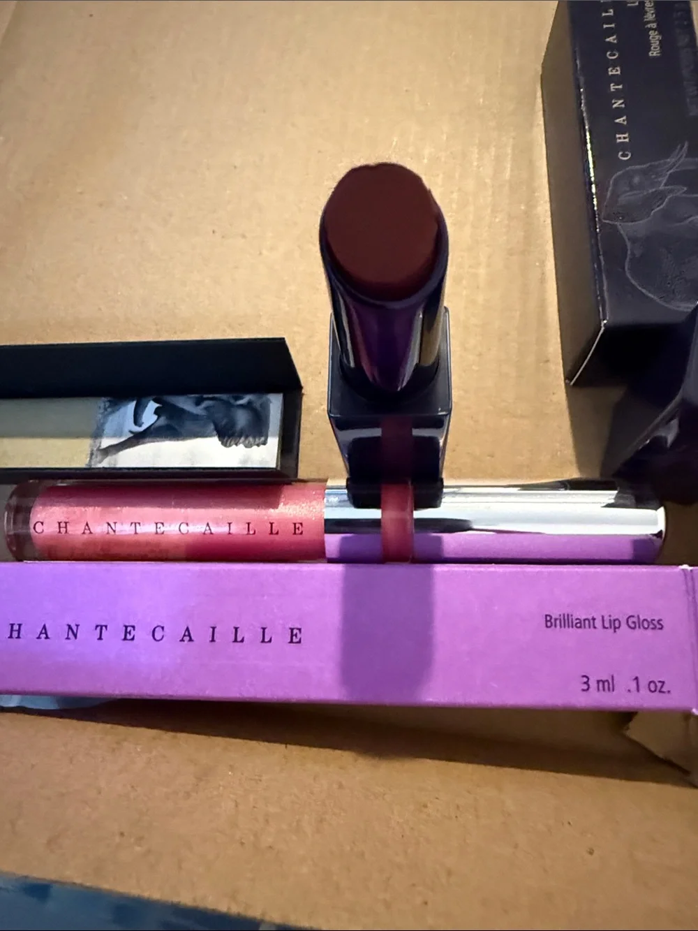 Chantecaille Brilliant Lip Gloss in Shimmery Coral Pink